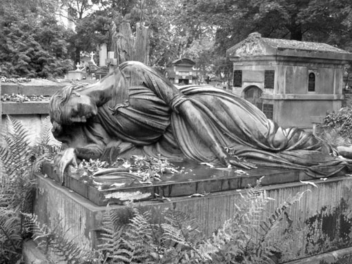 View larger image View larger image