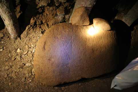 View larger image View larger image