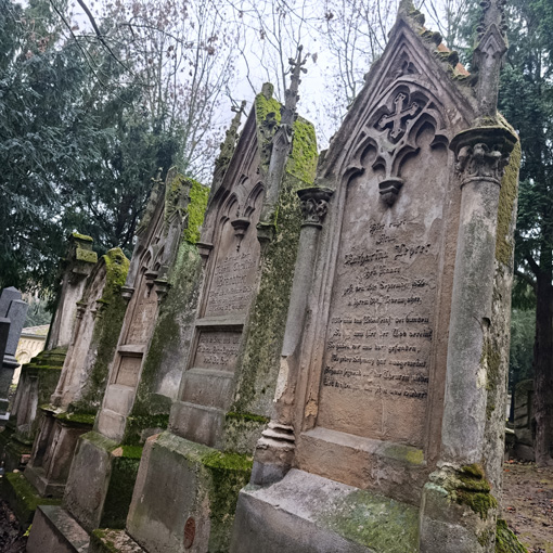 View larger image View larger image