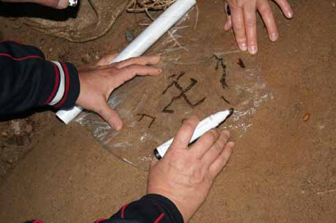 View larger image View larger image