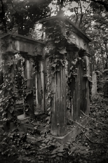 View larger image View larger image