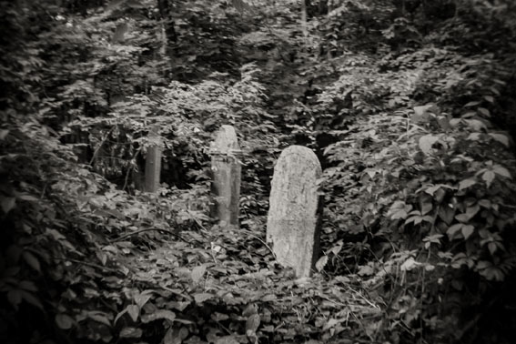 View larger image View larger image