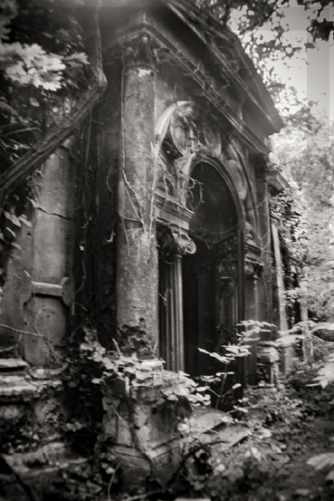 View larger image View larger image