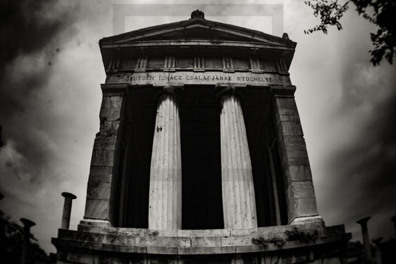 View larger image View larger image