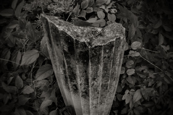 View larger image View larger image