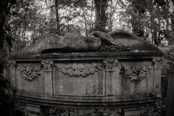 View larger image View larger image