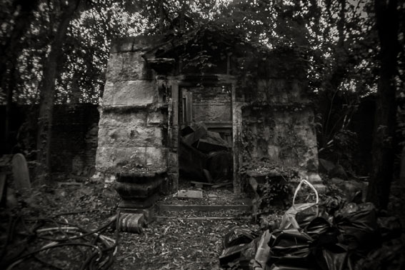 View larger image View larger image