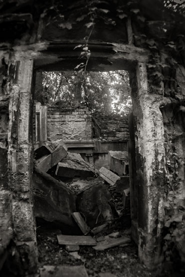 View larger image View larger image