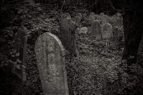 View larger image View larger image