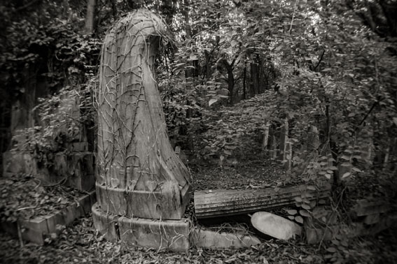 View larger image View larger image