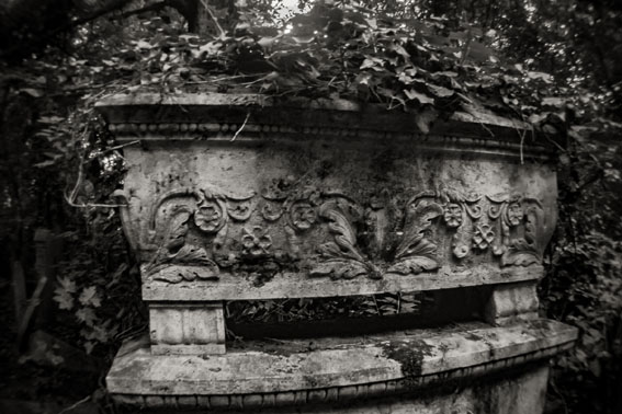 View larger image View larger image