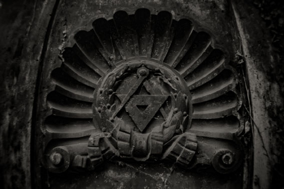 View larger image View larger image