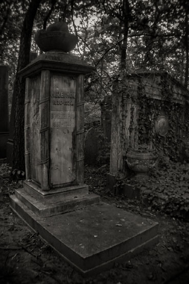 View larger image View larger image