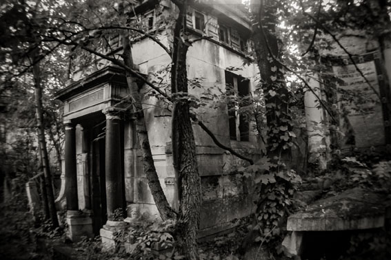 View larger image View larger image