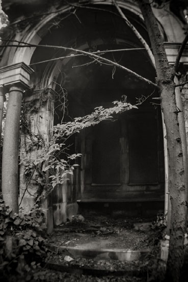 View larger image View larger image