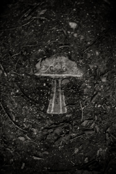 View larger image View larger image