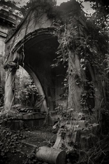 View larger image View larger image