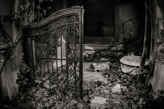 View larger image View larger image