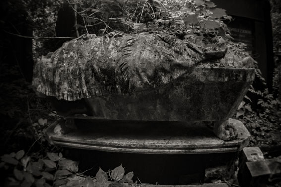 View larger image View larger image