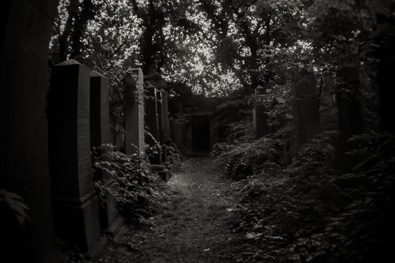 View larger image View larger image