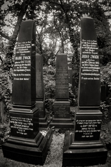 View larger image View larger image