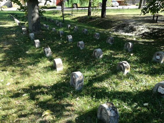 View larger image View larger image