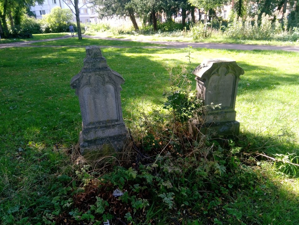 View larger image View larger image