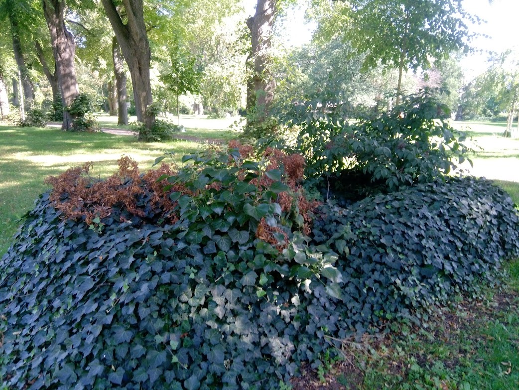 View larger image View larger image