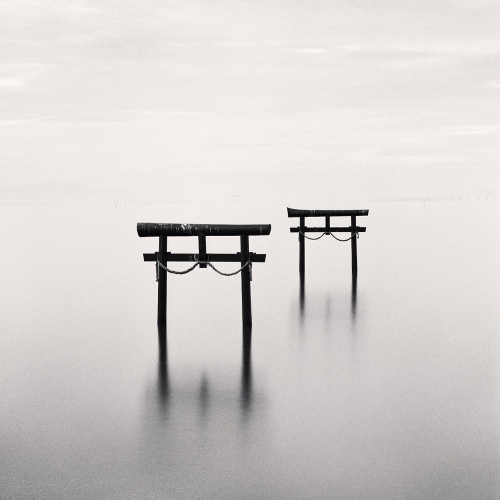 View larger image View larger image