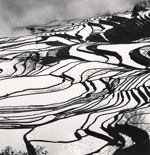 View larger image View larger image