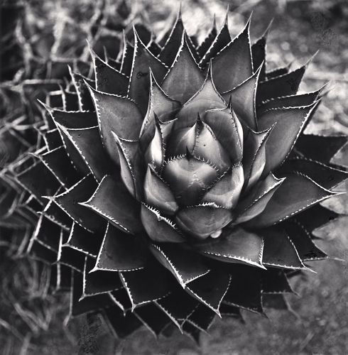 View larger image View larger image