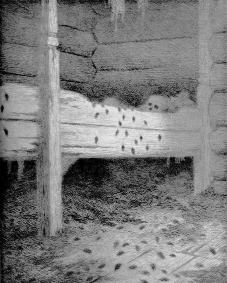 View larger image View larger image