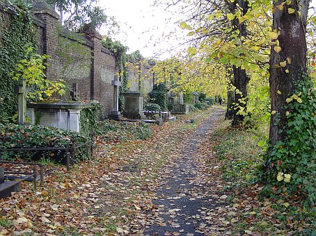 View larger image View larger image