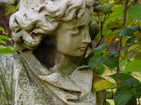 View larger image View larger image