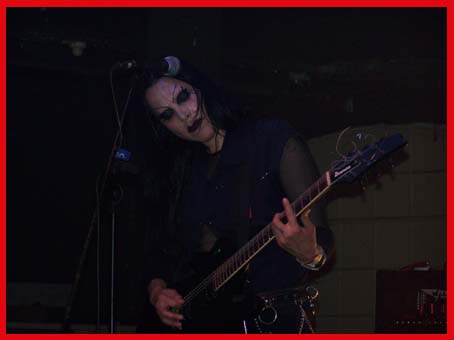 View larger image View larger image