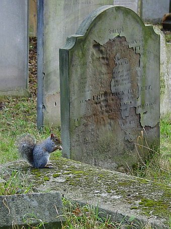 View larger image View larger image