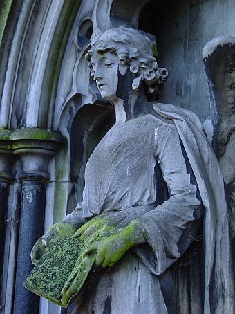 View larger image View larger image