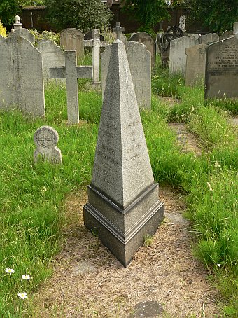 View larger image View larger image