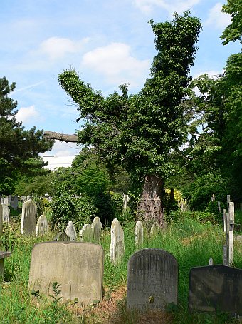 View larger image View larger image