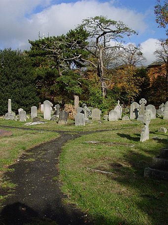 View larger image View larger image