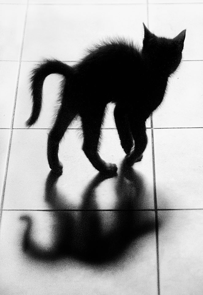 View larger image View larger image