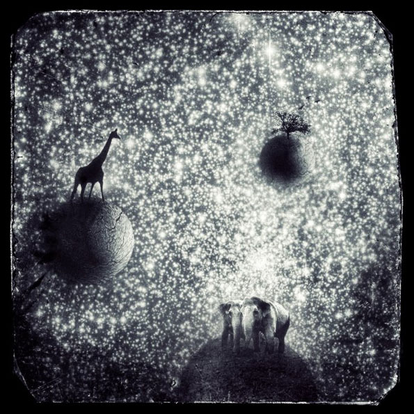 View larger image View larger image