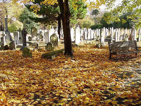 View larger image View larger image