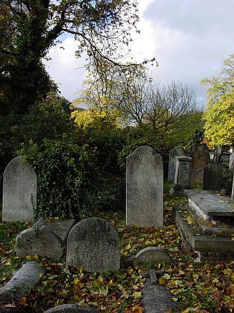 View larger image View larger image