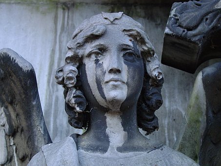 View larger image View larger image