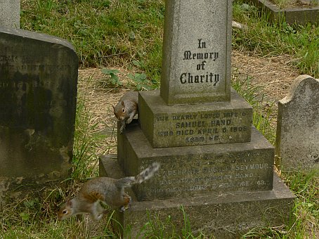 View larger image View larger image