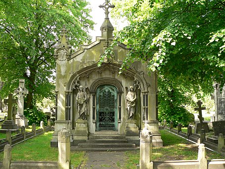 View larger image View larger image