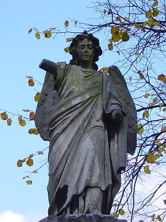 View larger image View larger image