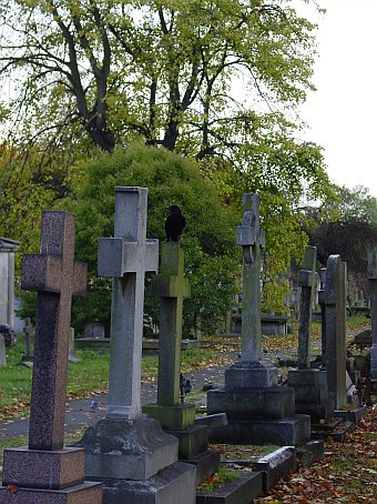 View larger image View larger image