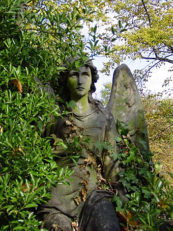 View larger image View larger image